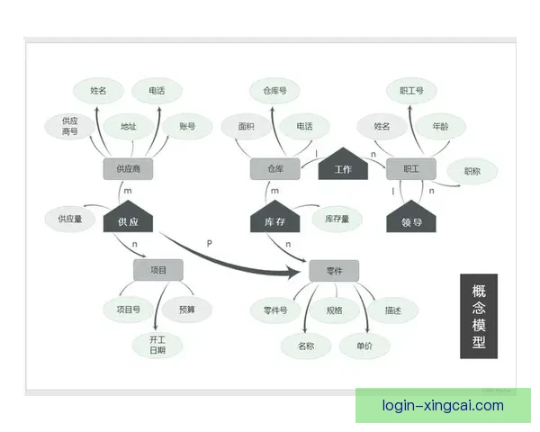 围绕俱乐部身高最高的中场核心打造全面战术体系与未来蓝图解析